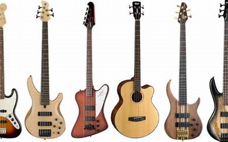 Bass Guitar Variations