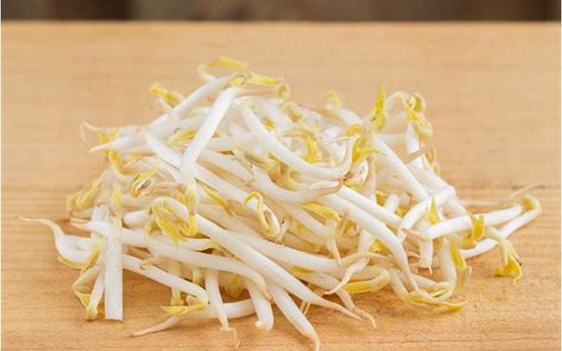 Bean Sprouts Image