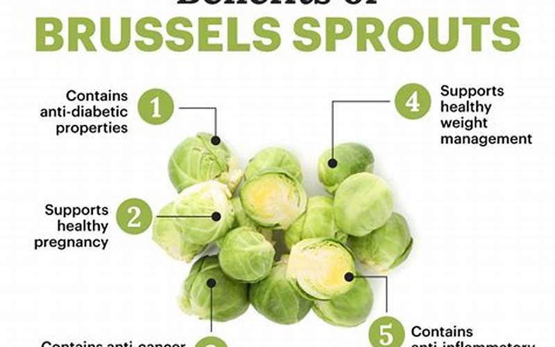 Benefits Of Brussel Sprouts