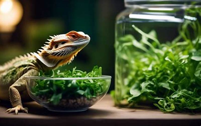 Benefits Of Feeding Arugula To Bearded Dragons Image