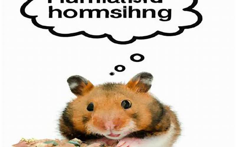 Benefits Of Feeding Mealworms To Hamsters