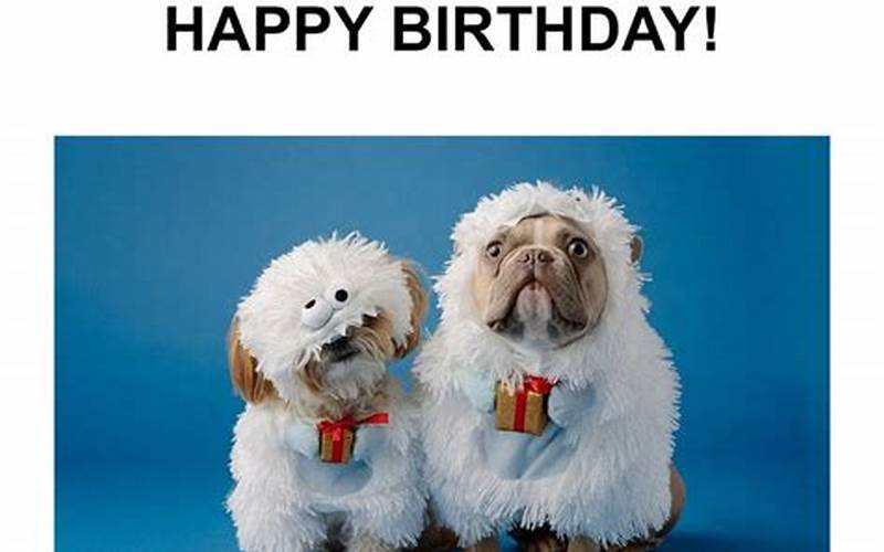 Happy Birthday Twins Meme: The Perfect Way to Celebrate Your Twins Birthday