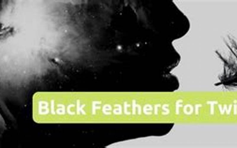 Black Feather Meaning Twin Flame