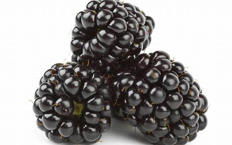 Blackberries