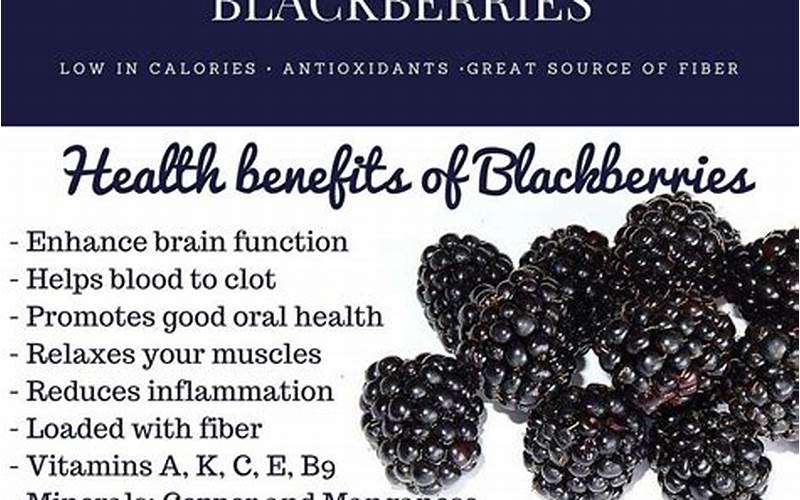 Blackberries Health Benefits