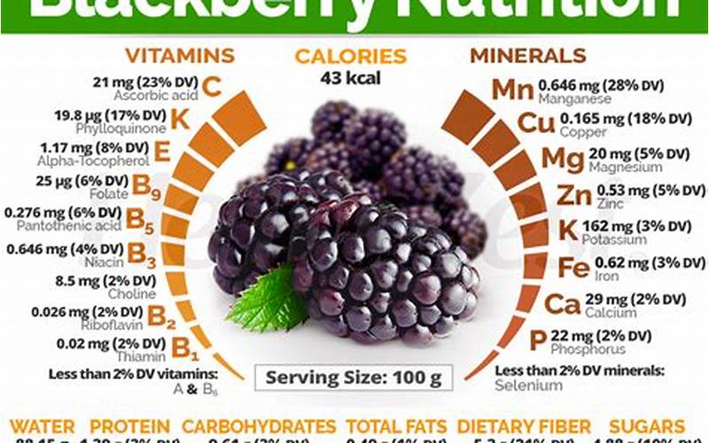 Blackberry Nutritional Facts