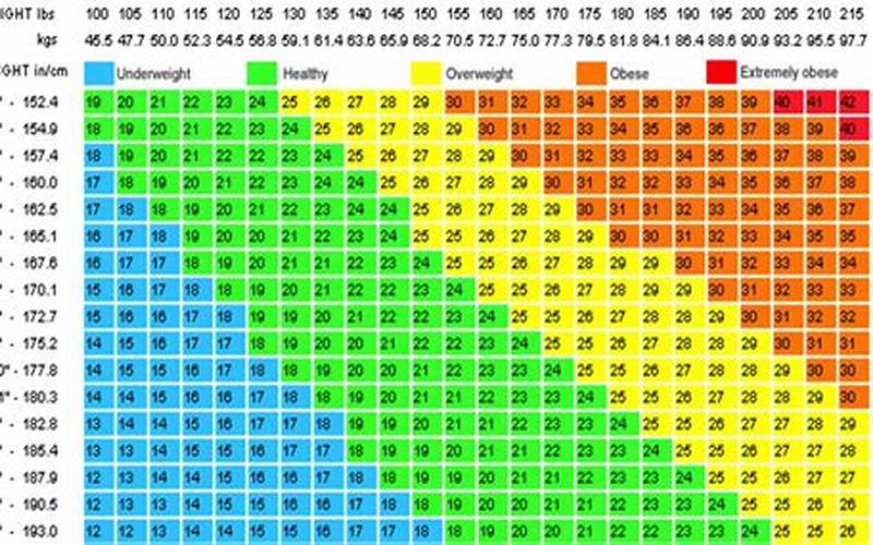 Bmi Scale