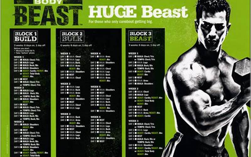 Body Beast Huge Schedule Beast Phase