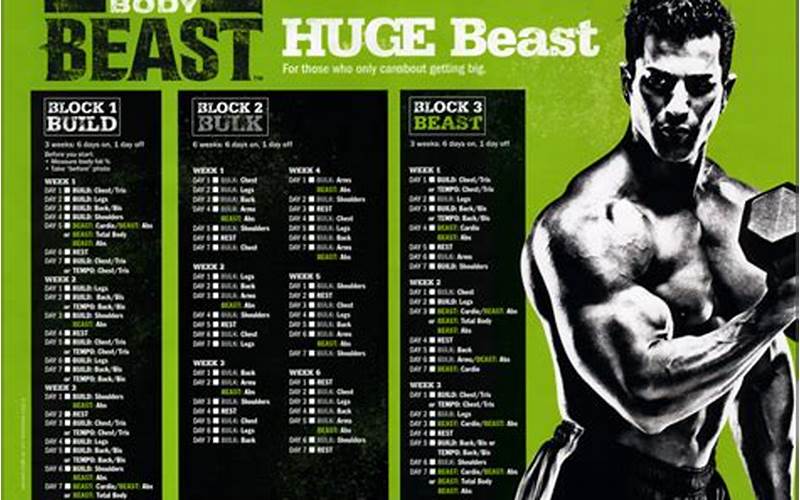 Body Beast Huge Schedule Build Phase