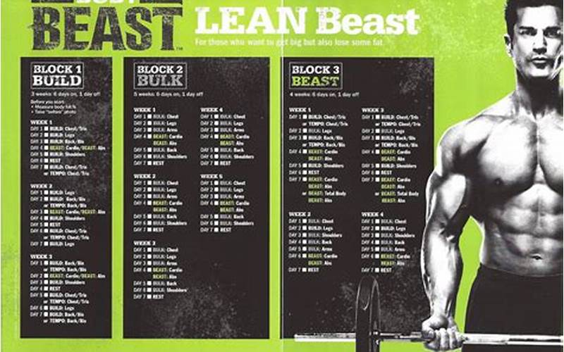 Back and Bis Body Beast