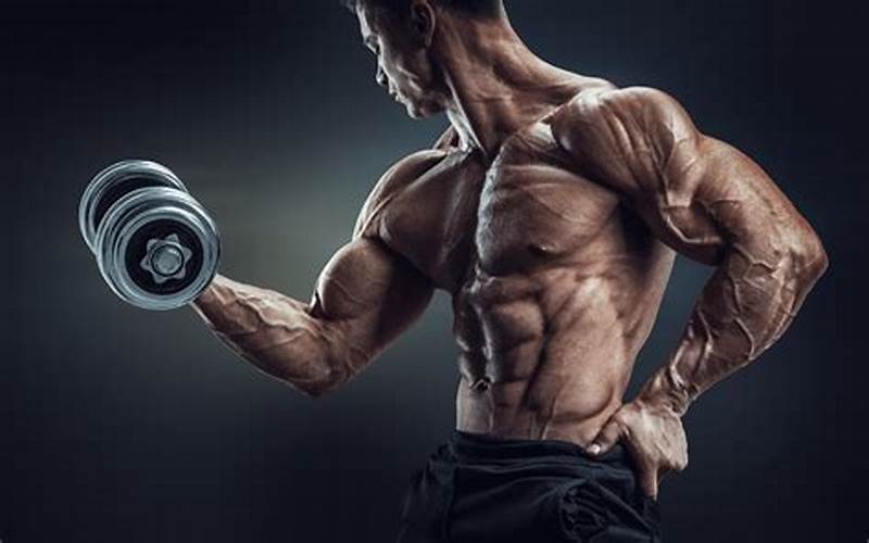 What is Half Wicked Body Building?