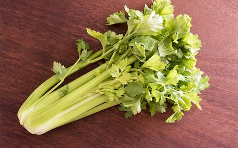 Bunch Of Celery