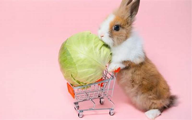 Bunny Eating Fresh Vegetables