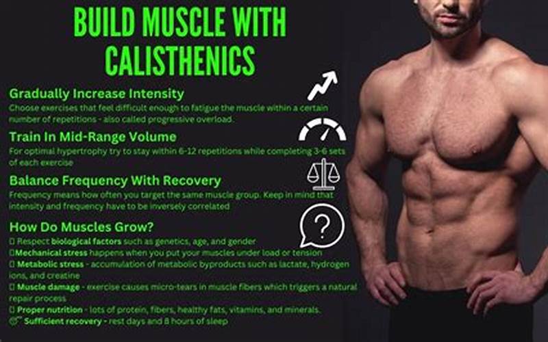 Calisthenics Muscles