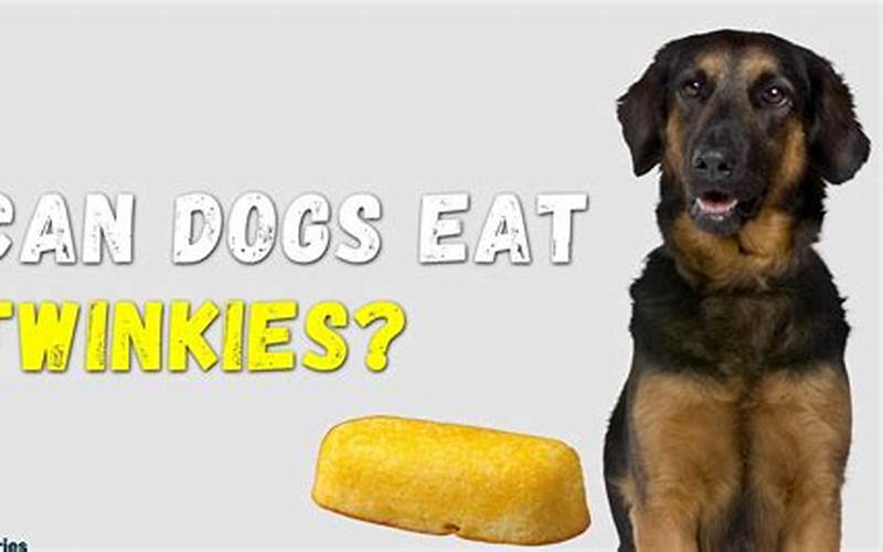 Can Dogs Eat Twinkies?