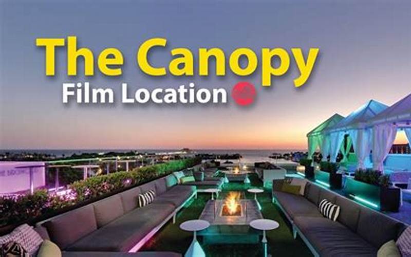 Canopy Rooftop Lounge St Pete