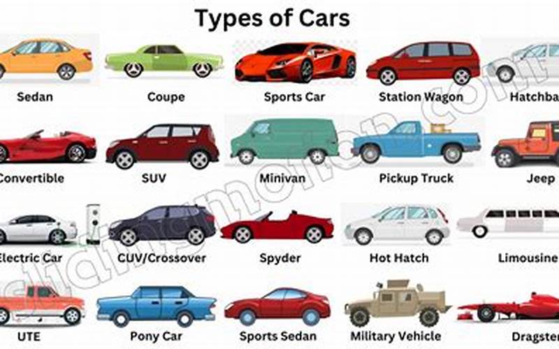 Car Type