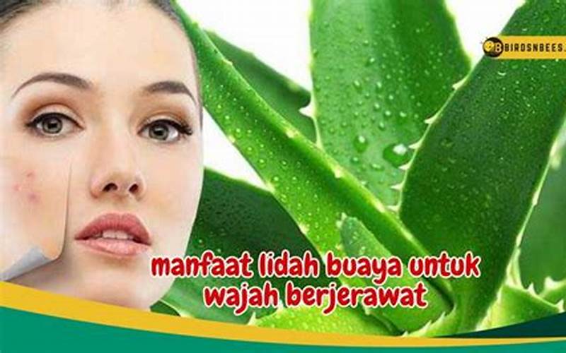 Cara Mempercepat Penyembuhan Jerawat