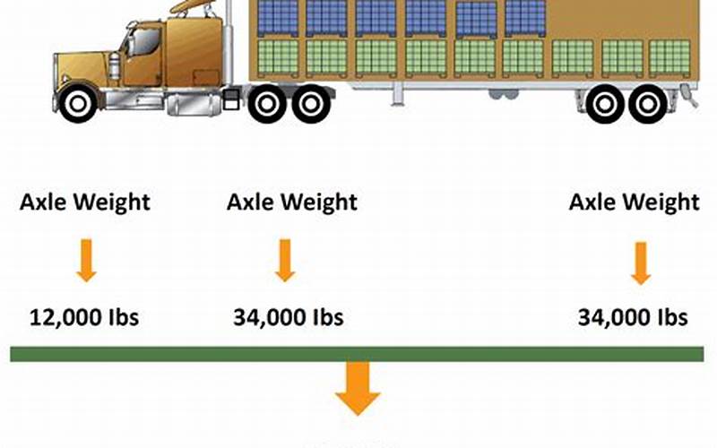 Cargo Weight