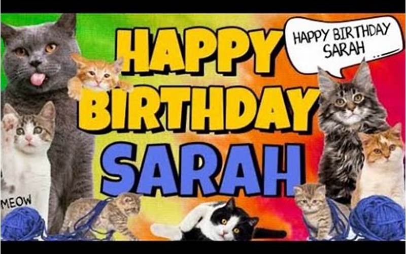 Cat Happy Birthday Sarah Meme