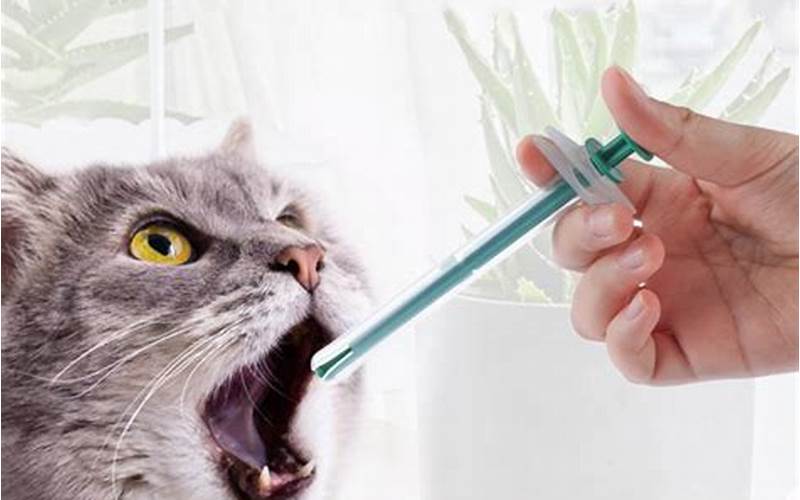 Cat Deaths from Convenia: Understanding the Risks