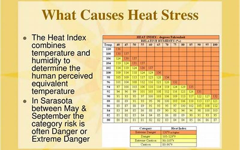 Causes Of Anemone Heat Stress