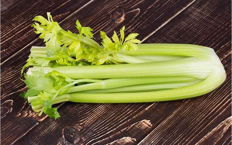 Celery Vegetable