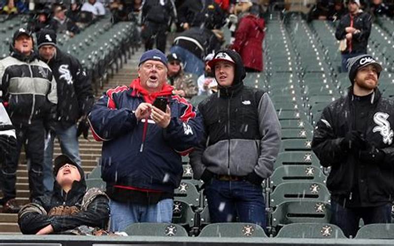 Chicago White Sox Fans