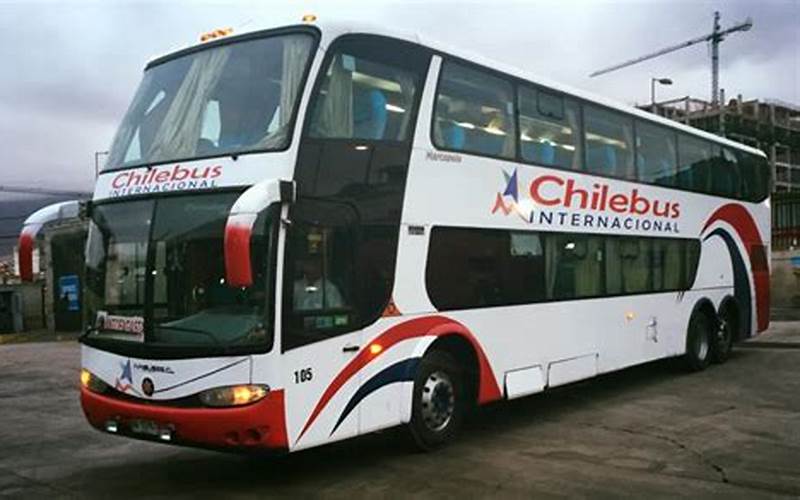 Chilean Buses