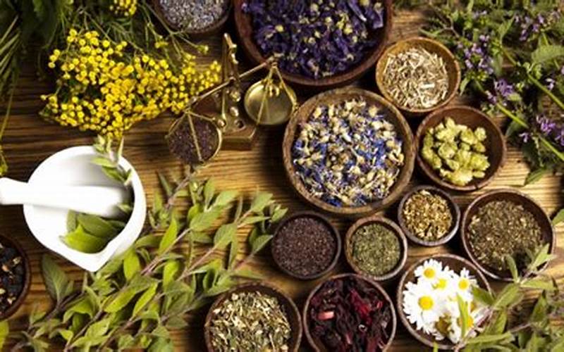 Choosing The Right Herbalist