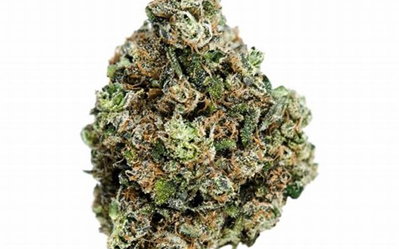 Discover the Chrome Slipper 99 Strain: Everything You Need to Know