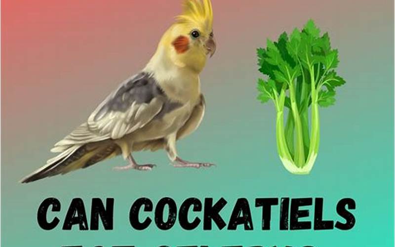 Can Cockatiels Eat Celery? The Answer Might Surprise You!