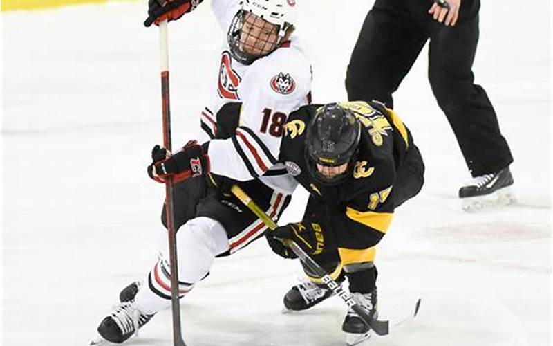 Colorado College Hockey Protest: The Issues and Possible Solutions
