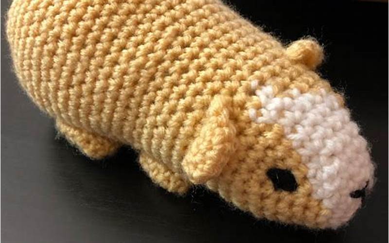 Crochet Guinea Pig Nose