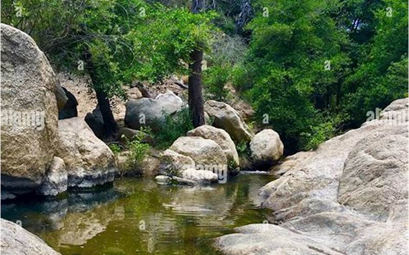 Cuyamaca Rancho State Park Fall Weather