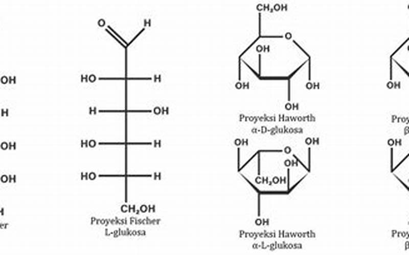 Diagram Struktur Molekul Glukosa
