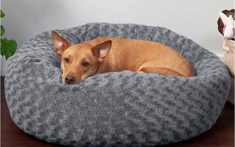 Dog Bed