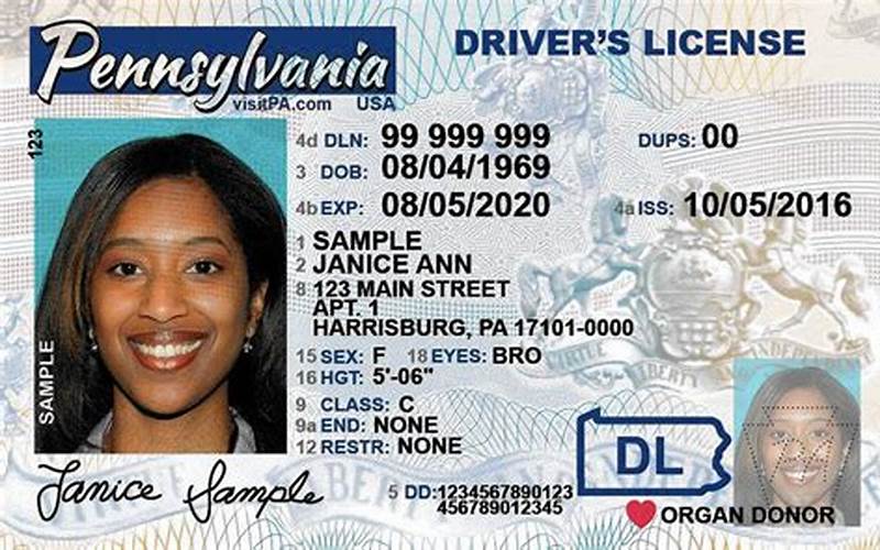Driver'S License