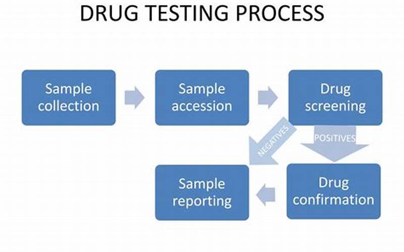 Drug Testing Process