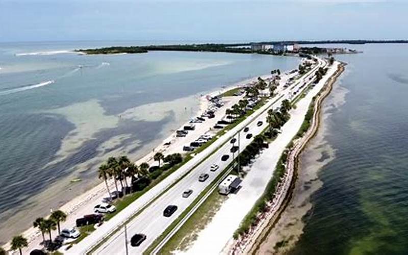 Tides at Dunedin Causeway