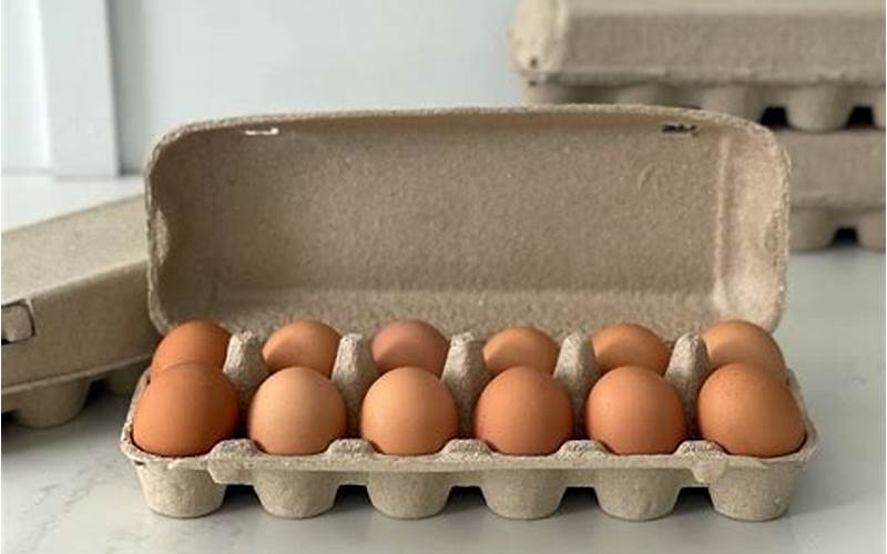 Egg Carton