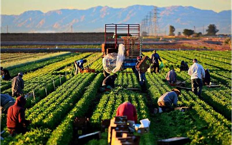 Farm Work