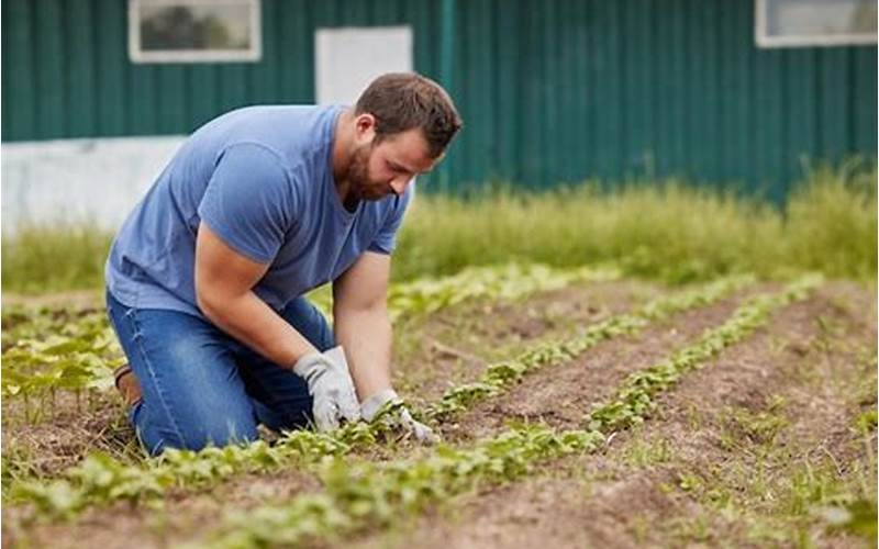 Farmer Planting Crops