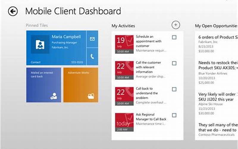 Features Of Microsoft Crm For Ipad