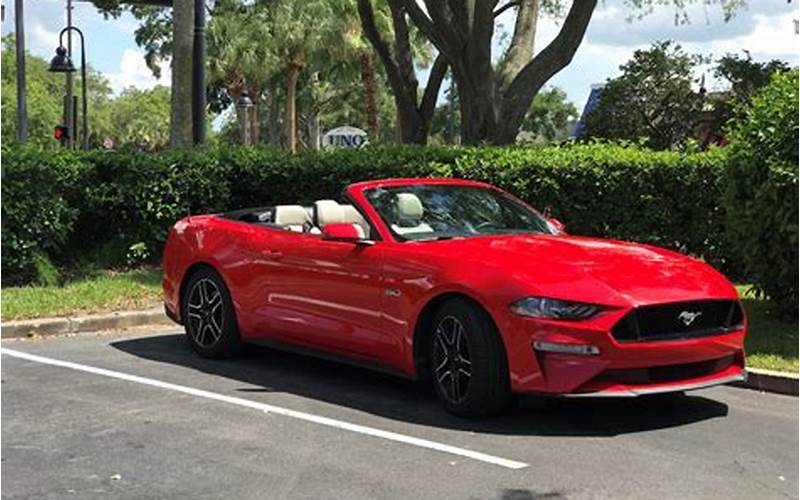 Finding Mustangs In Florida