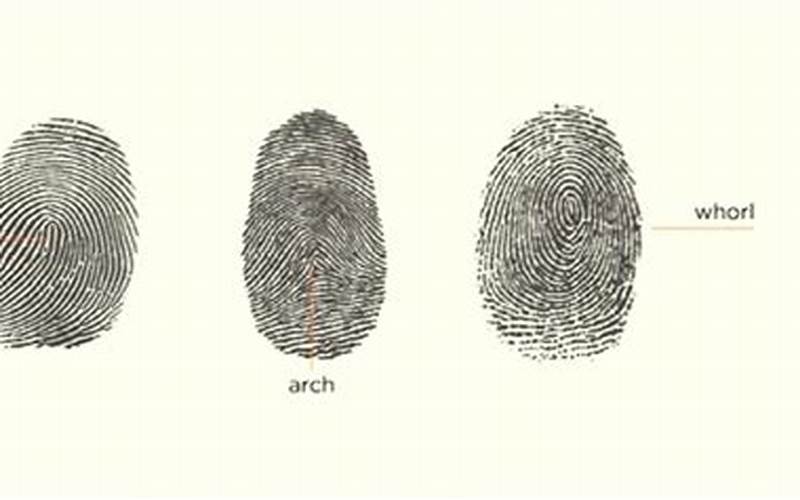 Fingerprint 3