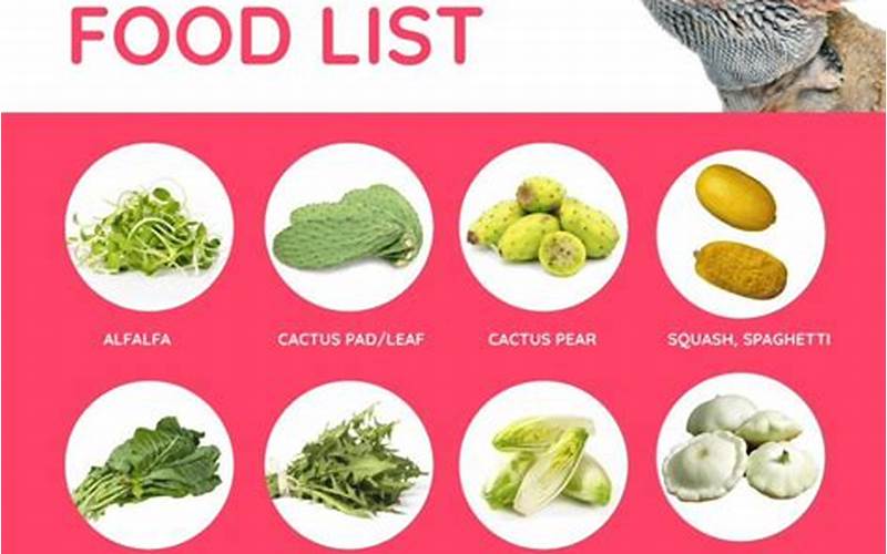 Foods To Avoid For Bearded Dragons