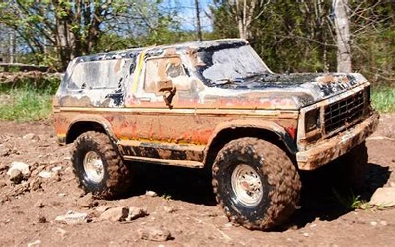Ford Bronco Mud Truck Buying