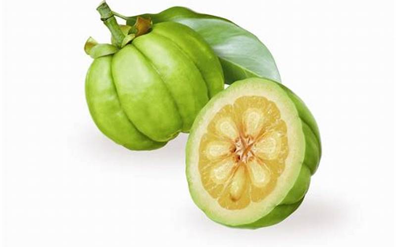 Garcinia Cambogia