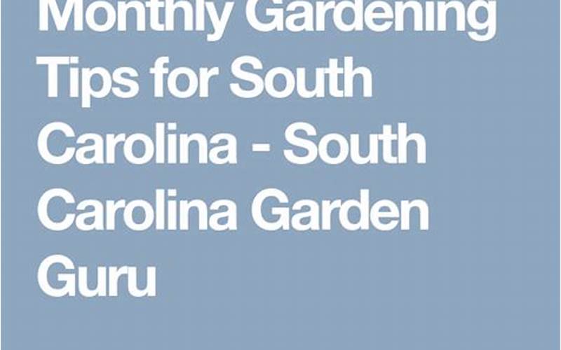 Gardening Tips For South Carolina